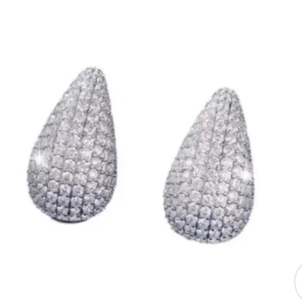 BOGO JEWELS BY Sunaina Narnia Stud Earrings-Silver